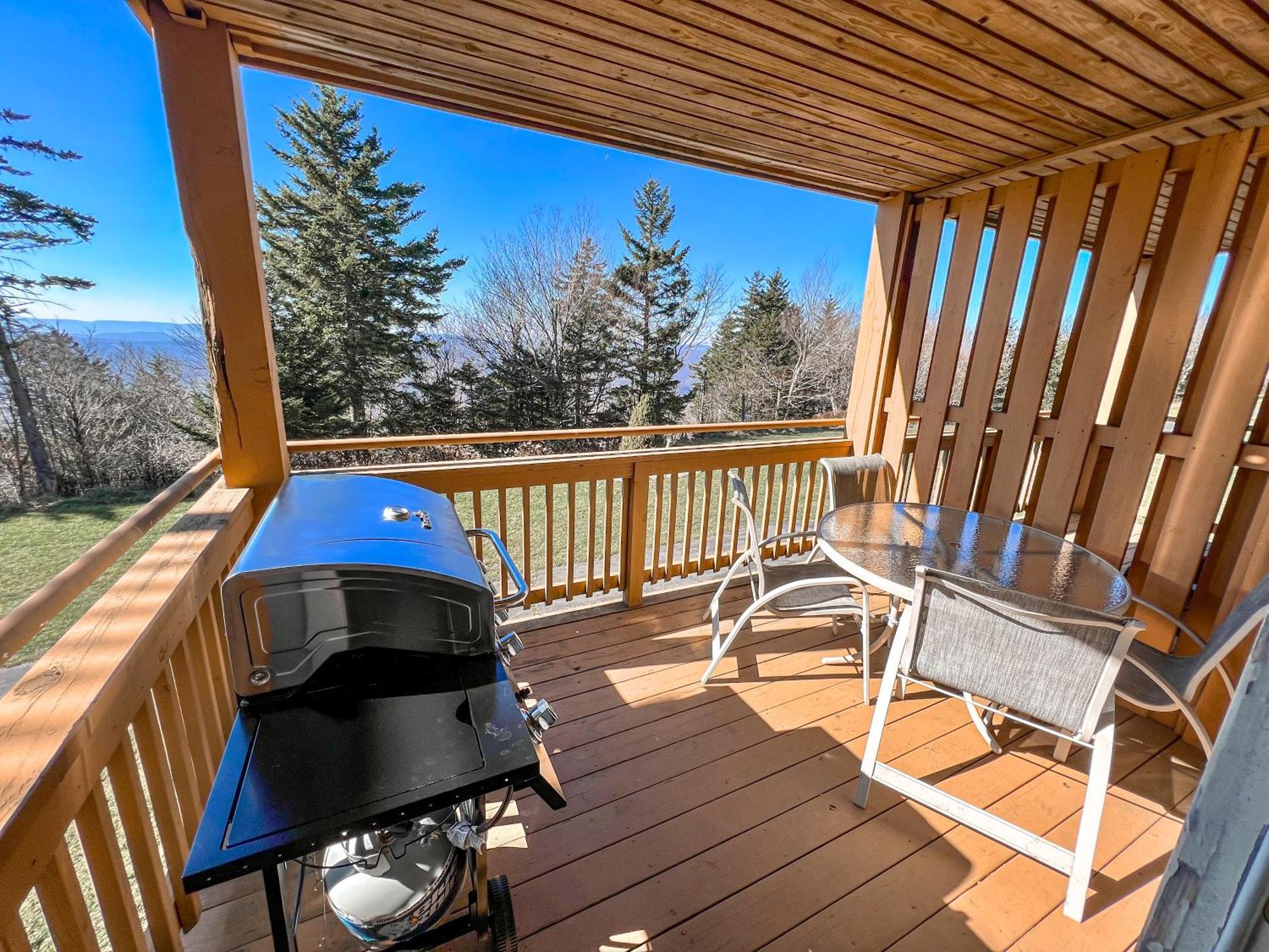 Remodeled Summit Condo At Snowshoe - Modern & Cozy Kültér fotó